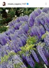 ��������A�i�u���J�ł����v(�ʐ^�̓C���X�^�O���� @misato_nagano_1127 ���) 