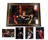 �z���|�X�^�[(�C���[�W) 