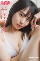 ���V���(C)������/�T��FLASH �ʐ^�����{�a�T 