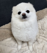 �������g���~���O���܂����̕ω��Ɂu�������ĐH�ׂ��Ⴂ�����v 