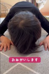 ���َq�~�����ɁA���o�����ɓy��������킭��!!(�摜��@hanchan_ikuji) 