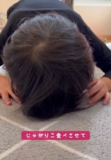 �v��ʓ���Ƀ}�}���v�킸�΂��Ă��܂�������!!(�摜��@hanchan_ikuji) 