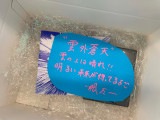 uDebut Singlewz (The Blue Sun)xXjOp[eB[v̖͗l(C)YX LABELS 