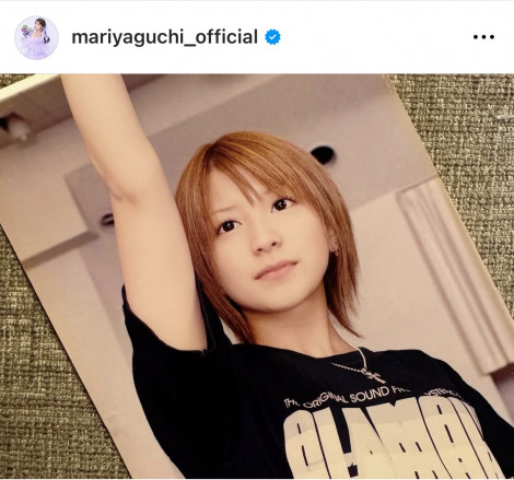 モーニング娘。矢口真里公式写真230枚 フォトアルバム
