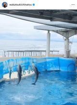 ��ΐ�āu�a�������s�� �� �� �Ōォ���Ԗڂ̗��̐��n��������Ɋ��q�� ���߂Ĕ��܂�Ŋ��q�ɍs���܂���!!�v(�ʐ^�̓C���X�^�O���� @wakatsukichinatsu ���) 