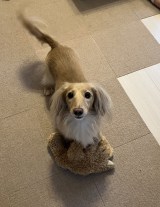 ������!at 22:00�u���Ⴟ��v����̓��e���(�ʐ^��@chacha210309���) 