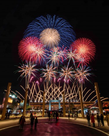 ���E�֐������̉ԉ� 