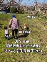 2Α&15ΎČƓU݂93ۑ\c(@nishimi_kaki_nouen) 