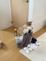 ���󂩂��ɓ�����������i�摜�񋟁F�Č���������@momonosekaiii�j 