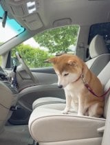 �����V�т��y���݂ɂ��Ă��̂ɒ�������J���p�����Ă����Ƃ��̂��������i�摜�񋟁F�Č���������@momonosekaiii�j 