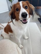 �f�R�s��(�ʐ^�͑�J�ĕ��̃C���X�^�O����:@shoheiohtani���) 