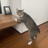 �������̐�������ł������m�F����y����(�摜��:�ҏW��܂݂���@henshu_yamami_) 