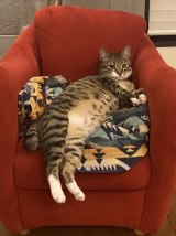 �ҏW��܂�(@henshu_yamami_)����̈��L�E�y���� (�ʐ^��X���) 