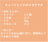 �u�L���x�c�ƃc�i�̃}���T���_�v�̍��� 