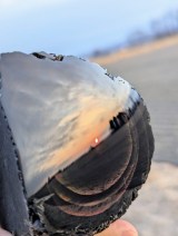 �����Ƌ��ɂȂ鍕�j��(�摜��:@�����΂���@reiro369) 