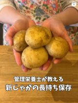 �ɂ݂₷���V���Ⴊ�A�ǂ��ۑ�����? JA�S�_��������&�Ⓚ�p��`�� �Ⓚ�ۑ��ł��郌�V�s�� 