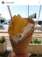 ���c�j�R���u�W�F���[�g���������������v(�ʐ^�̓C���X�^�O���� @2525nicole2 ���) 