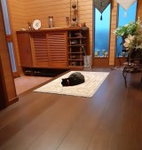 ���ւŏo�������������҂u��邿���v(�摜��:Turi����@turi2018) 