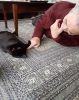 Turi����(@turi2018)�̕��Ƃ�邿���(�ʐ^��X���) 