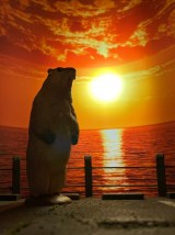 �}�[���b�g������o�[�W����������Ă�����[�ց[����(�摜��:��[�ց[����@yoopeeyope) 