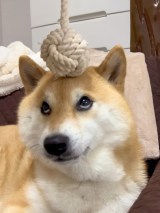 X�A�J�E���g�E�Č��ӂ���(@fufufufufu_ta)����̈����E�ӂ�������(�ʐ^��X���) 