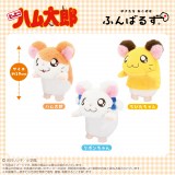 �w�Ƃ��Ƃ��n�����Y�x25���N!�V������ 