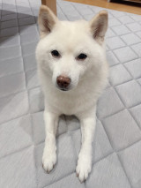 X�A�J�E���g�E����go(���Ă䂫)����(@go20597673)�̈����E�䂫�����(�ʐ^��X���) 