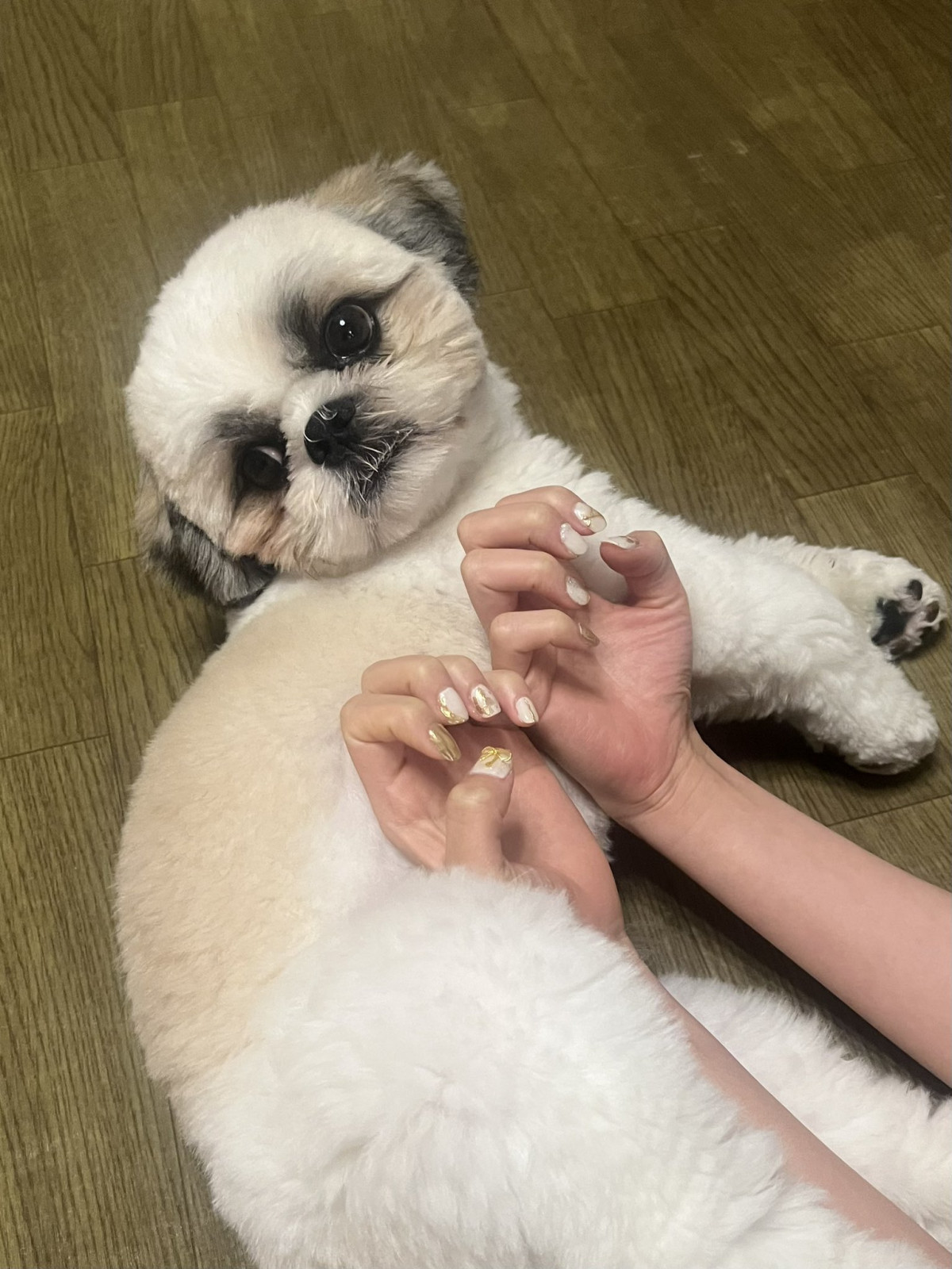 XAJEgEg(@qz_urm)̈Eg(ʐ^X) 