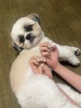 XAJEgEg(@qz_urm)̈Eg(ʐ^X) 