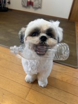 XAJEgEg(@qz_urm)̈Eg(ʐ^X) 