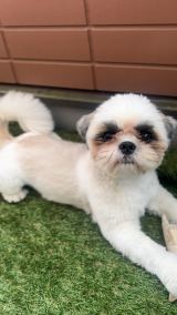 XAJEgEg(@qz_urm)̈Eg(ʐ^X) 