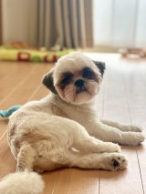 XAJEgEg(@qz_urm)̈Eg(ʐ^X) 