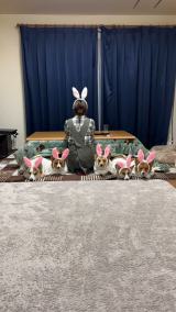 ������ɏW�܂邨����[��(�摜��:Dog village �䃖�X�Ƃ�����[������@hachi_stagram) 