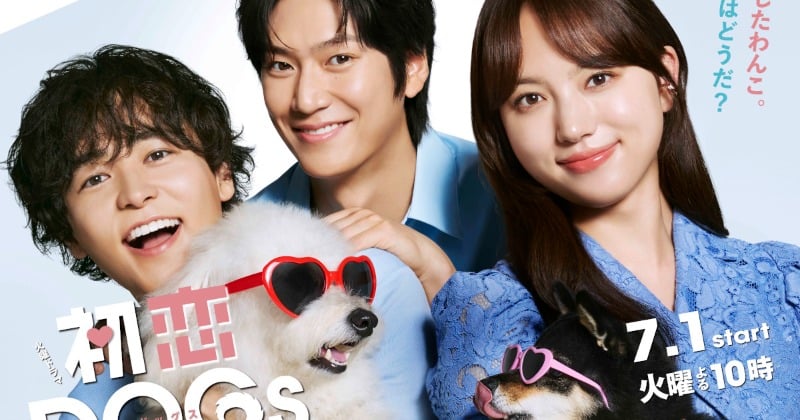 【新品】♥清原果耶さん♥『初恋DOGs』HOUSE OF LOTUS ジャケット 清原果耶主演『初恋DOGs』ポスタービジュアル解禁 夏のラブストーリー