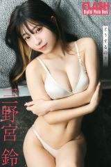 �O��{��(C)������/�T��FLASH �ʐ^�������c�C 