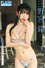 �O��{��(C)�����Ё^�T��FLASH �ʐ^�������c�C 