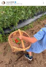 ���{�}�i�~�u���F�B�Ƒ��Ƃ݂�ȂŗV�тɍs���Ă��܂����v (�ʐ^�̓C���X�^�O����@manami84808 ���) 