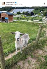 ���{�}�i�~�u���F�B�Ƒ��Ƃ݂�ȂŗV�тɍs���Ă��܂����v (�ʐ^�̓C���X�^�O����@manami84808 ���) 