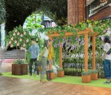 �X�i���� �����[���[�t���[�c�H���@�C�x���g�\�z�} 