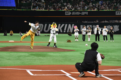 �V�l���I���A�Z�����j�A���s�b�`�̖͗l 