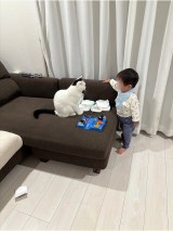 XAJEgE܂Ƃ邳(@takeru0321neko)̈LE邭Ǝj(ʐ^X) 