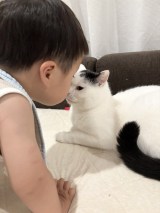 XAJEgE܂Ƃ邳(@takeru0321neko)̈LE邭Ǝj(ʐ^X) 