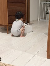 XAJEgE܂Ƃ邳(@takeru0321neko)̈LE邭Ǝj(ʐ^X) 