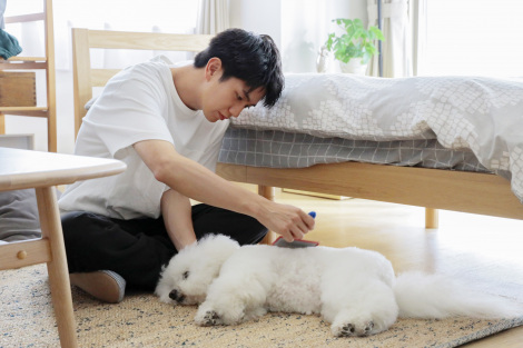 14�������w���T�V�m�֕��ȁx���iC�j�e���r���� 