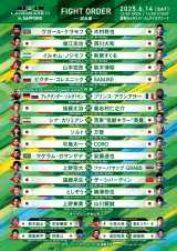 �wRIZIN LANDMARK 11 in SAPPORO�x������ 