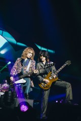wTHE YELLOW MONKEY TOUR 2024/25 `Sparkle̘fX`xKA[il̖͗l ʐ^:R}Tg 