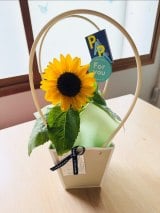 �u�v�ɂ͖��ƑI�� �V���v���Ȍ������v�g���̓��h�̎v���o���Љ�������^���@�i�ʐ^�̓u���O���j 