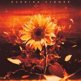 ���o��1�ʂ��l������HANA�uBurning Flower�v 