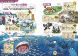 w|PԐ}Ӂx{y[WJ iCj2025 Pokemon. iCj1995-2025 Nintendo/Creatures Inc. /GAME FREAK inc 