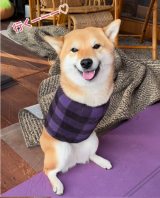 ���܂�����O�r�̂Ȃ��Č��̏t�q�����(Instagram/@haru_fuku_taro2022���) 